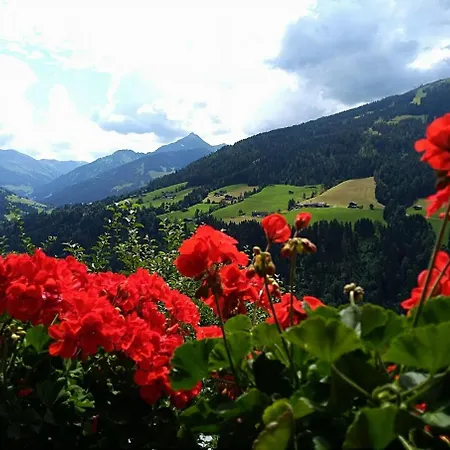 Aussermoos-zuhaus Tatil Evi